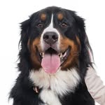 miss.tilley profile picture