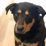 miss_beacon profile picture