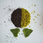 missbeesbalms profile picture