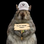 missbonniemcsquirrely profile picture