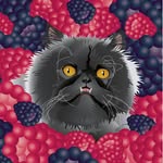 miss_raspberry_kittay profile picture