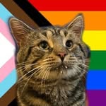 mister.fishtopher profile picture
