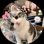 mistyy_09_ profile picture