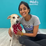 mitalisalvi profile picture