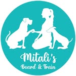 mitalisboardandtrain profile picture