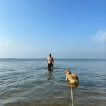 mitchellberger93 profile picture