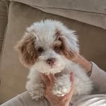 mittymc profile picture