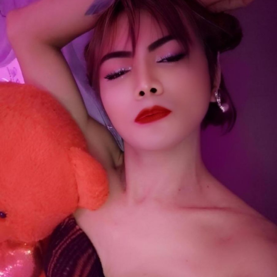 miyacolla profile picture