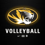mizzouvb profile picture