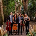 mlcasamientos profile picture