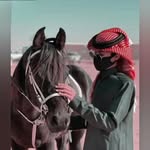 mlklmhmd4723 profile picture