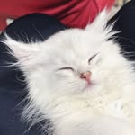 mmm.mumo profile picture