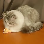 mo5654 profile picture