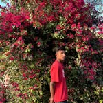 moadnan.5469772 profile picture