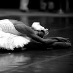 mobballet profile picture