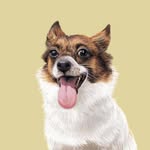 mochazhu_2014 profile picture