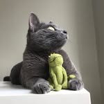 mochikittyfrog profile picture