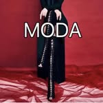 modaselebrity profile picture