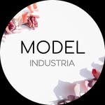 modelindustria profile picture