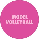 modelvolleyball profile picture
