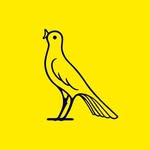 modena_fc_official profile picture