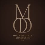 modselectionchampagne profile picture