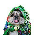 moem_n profile picture