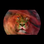mohamedbenzaid4644 profile picture