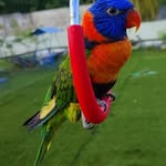 mohamednacym profile picture