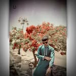 mohammadtanjil822 profile picture