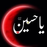 mohammed_shahid__s profile picture