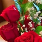 mohdaltaf76044 profile picture