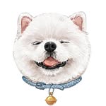 mokmokbb_ profile picture