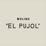 molinopujol profile picture