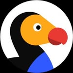 molly_thedodo profile picture