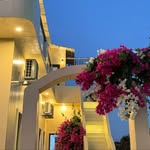 momaid.homestay profile picture