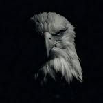 momentumorbit profile picture