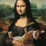 mona.isaa profile picture