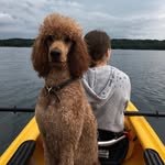 monacofrankie1 profile picture