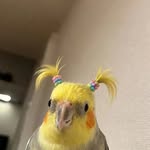 monalisafontaine profile picture
