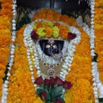 mona_rajput_21 profile picture