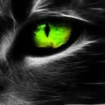 monden.clan profile picture