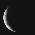 monicabaddar profile picture