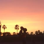 monicagoy_ profile picture