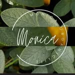 monicaorganiclife profile picture
