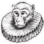 monkeytownhq profile picture