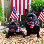monsieurlouie profile picture