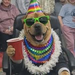 monsteryogibear profile picture
