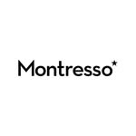 montressoartfoundation profile picture