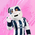 montyrayado profile picture
